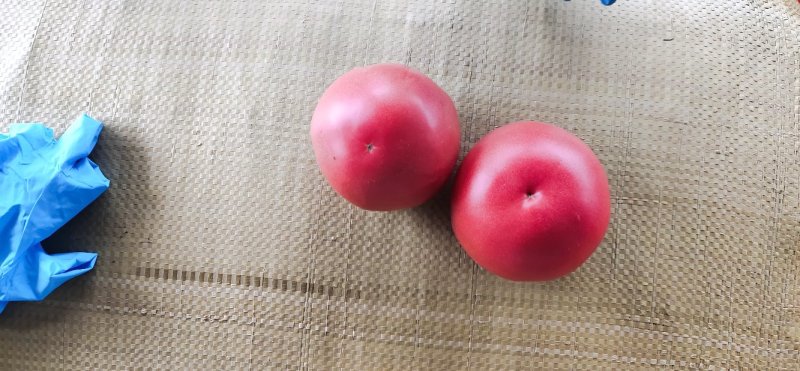 硬粉西红柿