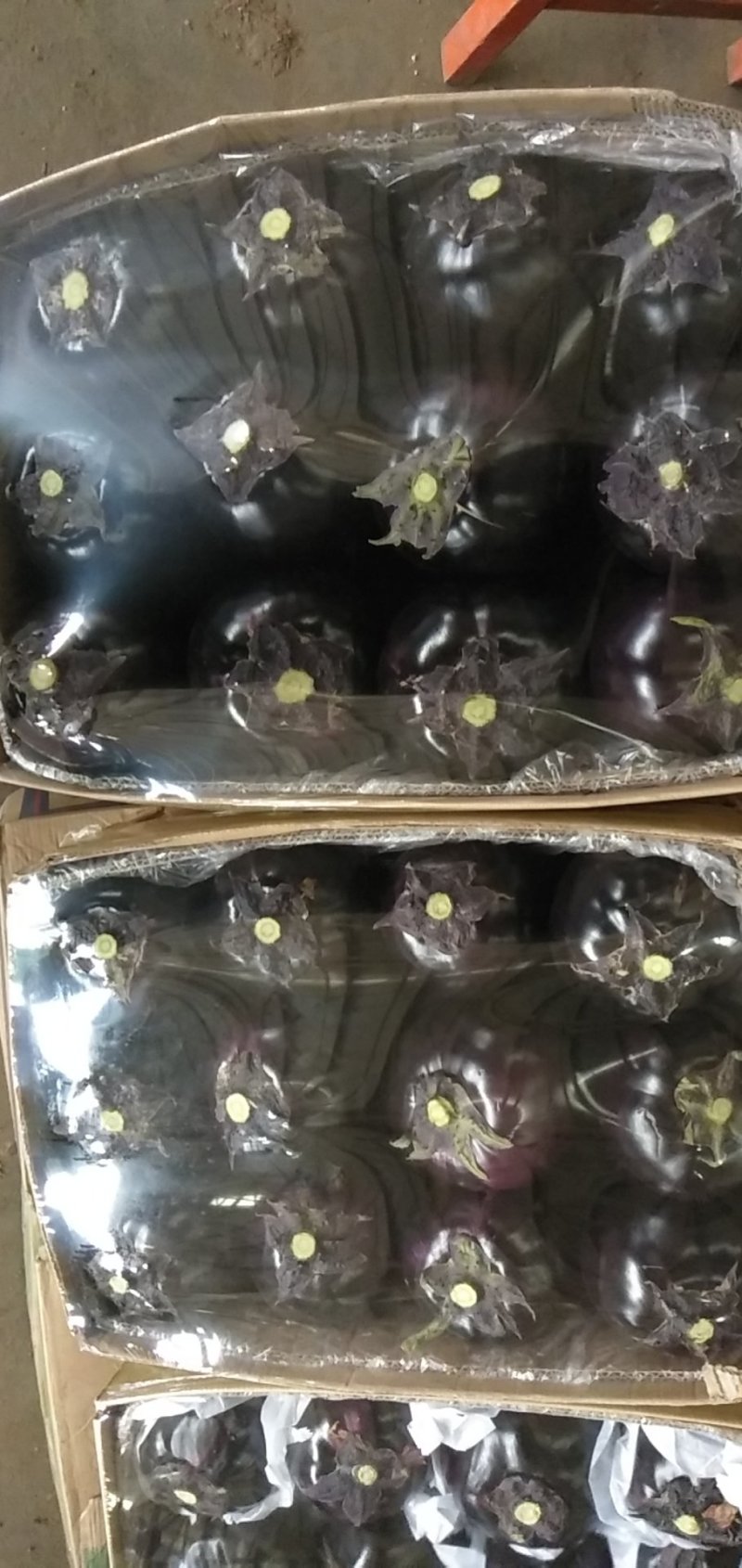 河北茄子精品紫光圆茄一手货源，产地现货，价格便宜