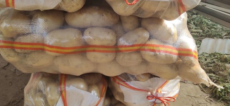 很难荷兰豆2两以上不封顶贵州甩卖之家商贸有限公司