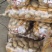 很难荷兰豆2两以上不封顶贵州甩卖之家商贸有限公司