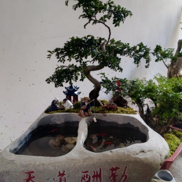石头花盆