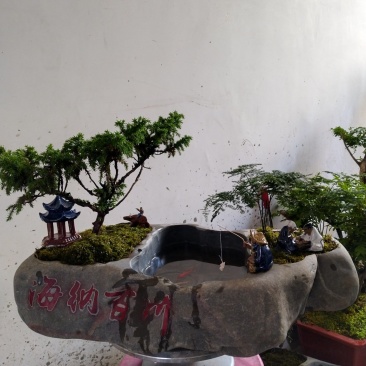 石头花盆