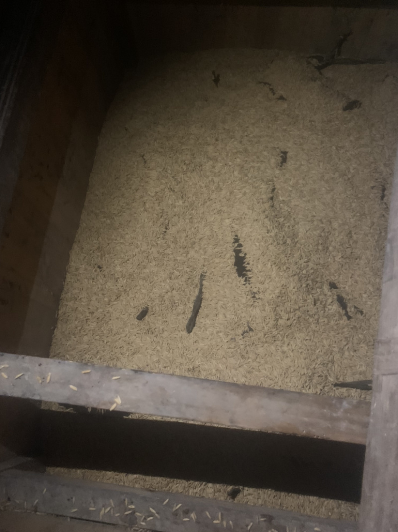湘西桐花寨自养跑山猪农家腊肉