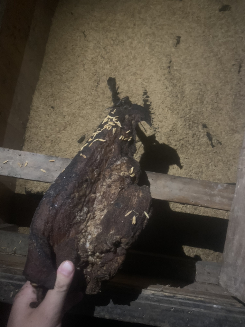 湘西桐花寨自养跑山猪农家腊肉