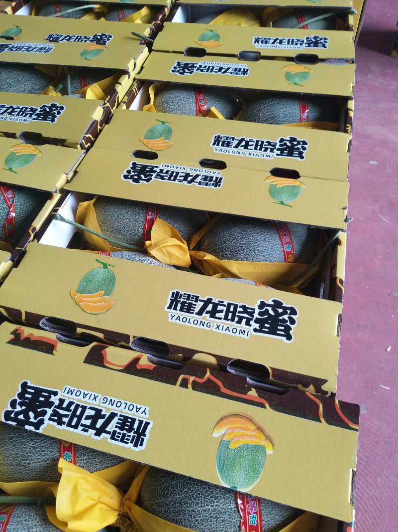 晓密25号，新鲜采摘产地直供，专供水果市场，超市