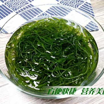 烘干压缩海带顶刀丝烘干真空压缩海带丝无盐淡细丝干货