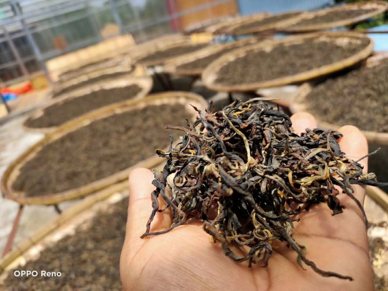 西双版纳原生态普洱茶可实地考察看货可线上交易发