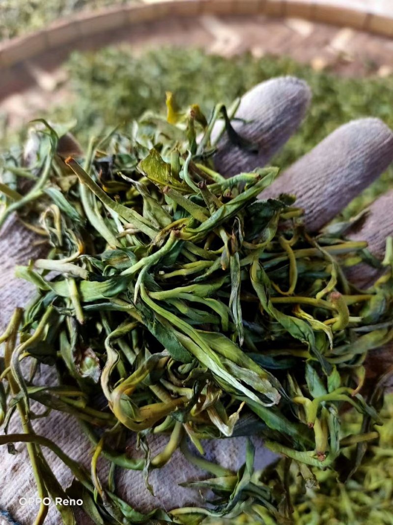 西双版纳原生态普洱茶可实地考察看货可线上交易发