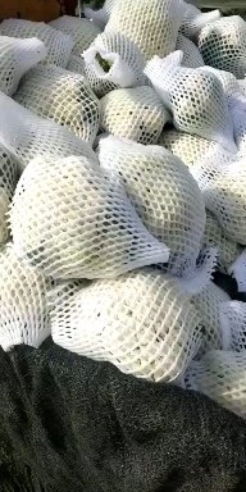 有机花菜精品，大量出售，各种服务，实力代收