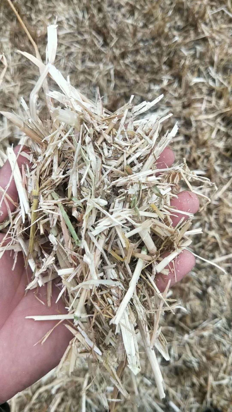 小麦秸秆二次加工牛草，全部过两遍筛子除尘，干净利落，