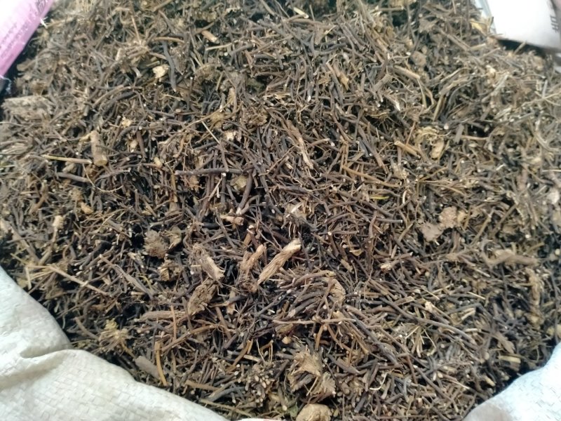 威灵仙！规格齐全！大货批发一手货源价格优！