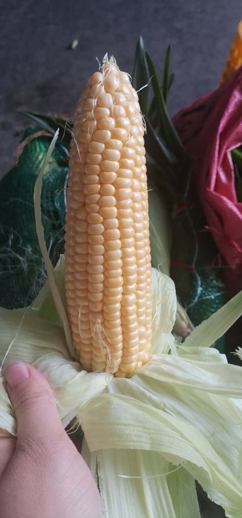 代销季节蔬菜
