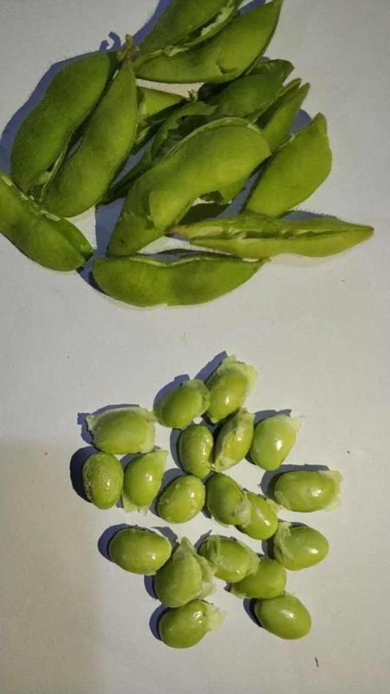 代销季节蔬菜