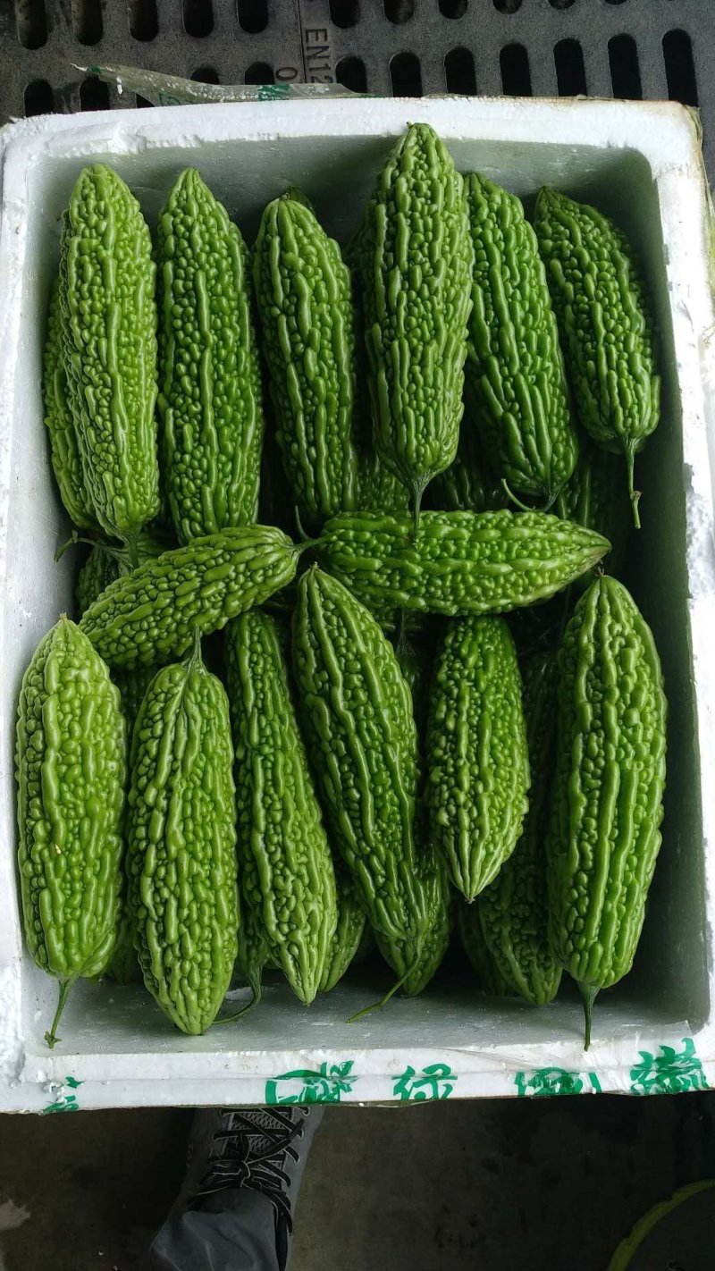 代销季节蔬菜