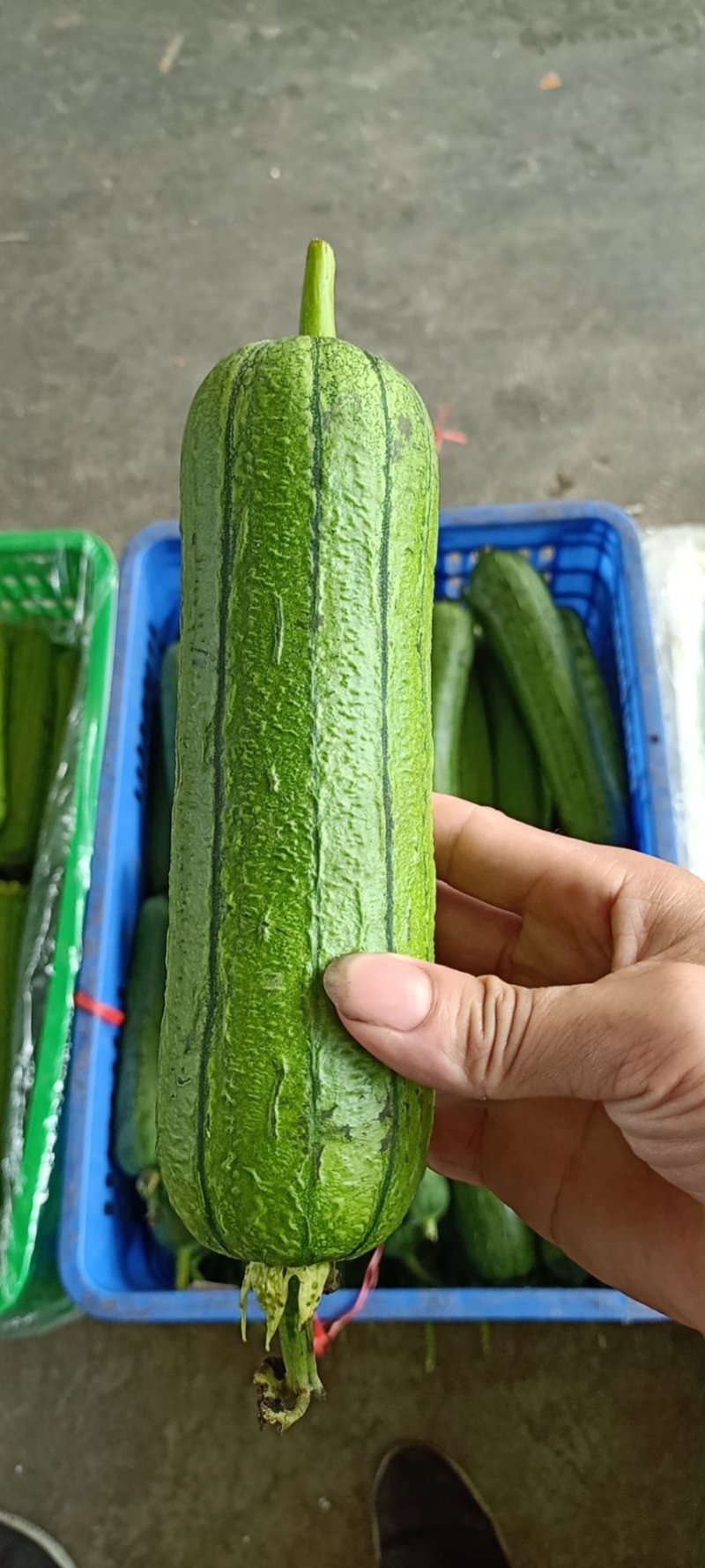 代销季节蔬菜