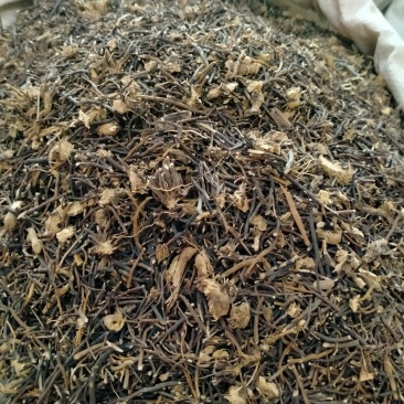 威灵仙！规格齐全！大货批发一手货源价格优！