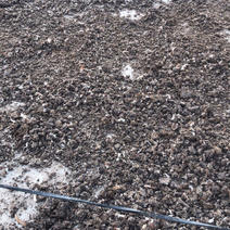 纯干鸡粪，水泥地晾晒，无杂质！改良土壤板结肥效持久