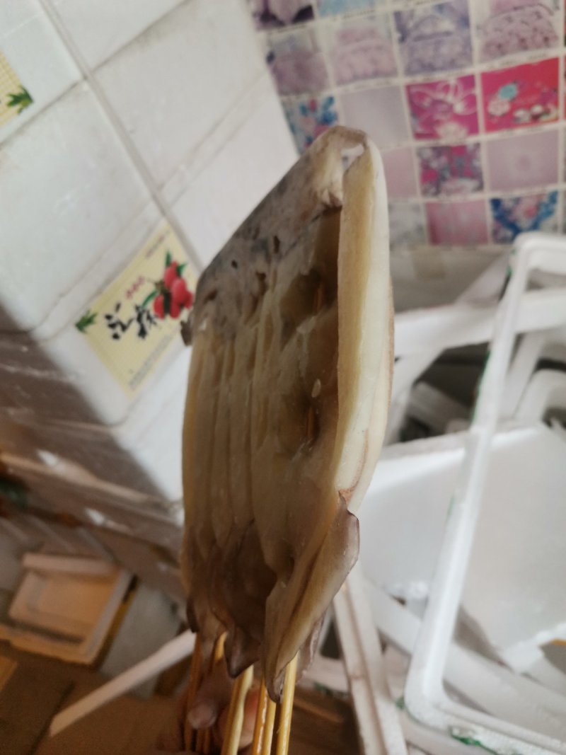 鱿鱼板串200g*50串超大轰炸大鱿鱼烧烤铁板整条包邮