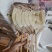 鱿鱼板串200g*50串超大轰炸大鱿鱼烧烤铁板整条包邮