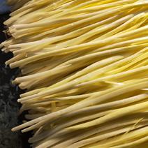 江苏韭黄，可视频，本种植基地常年大量种植精品韭黄