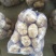 中薯5号土豆精品2两以上