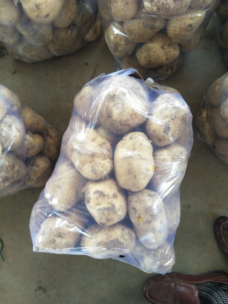 中薯5号土豆精品2两以上