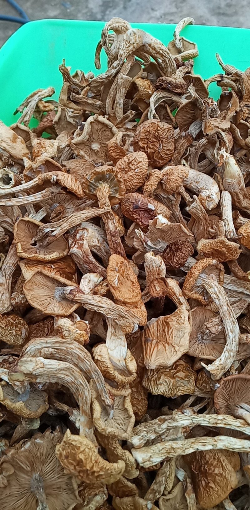 （产区直销）货源充足，质量好价格实惠