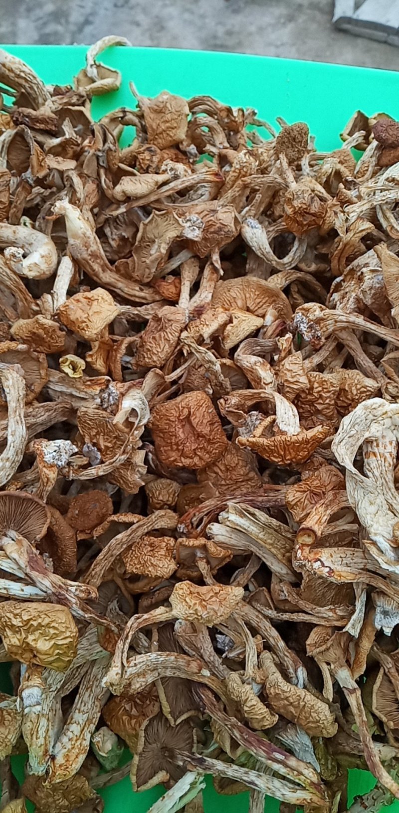 （产区直销）货源充足，质量好价格实惠