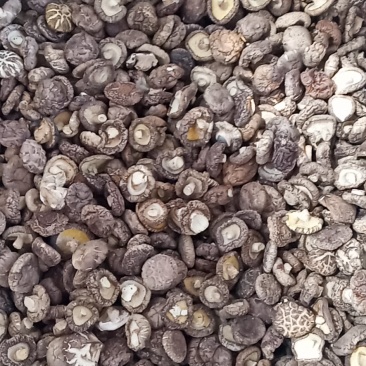 （产区直销）货源充足，质量好价格实惠