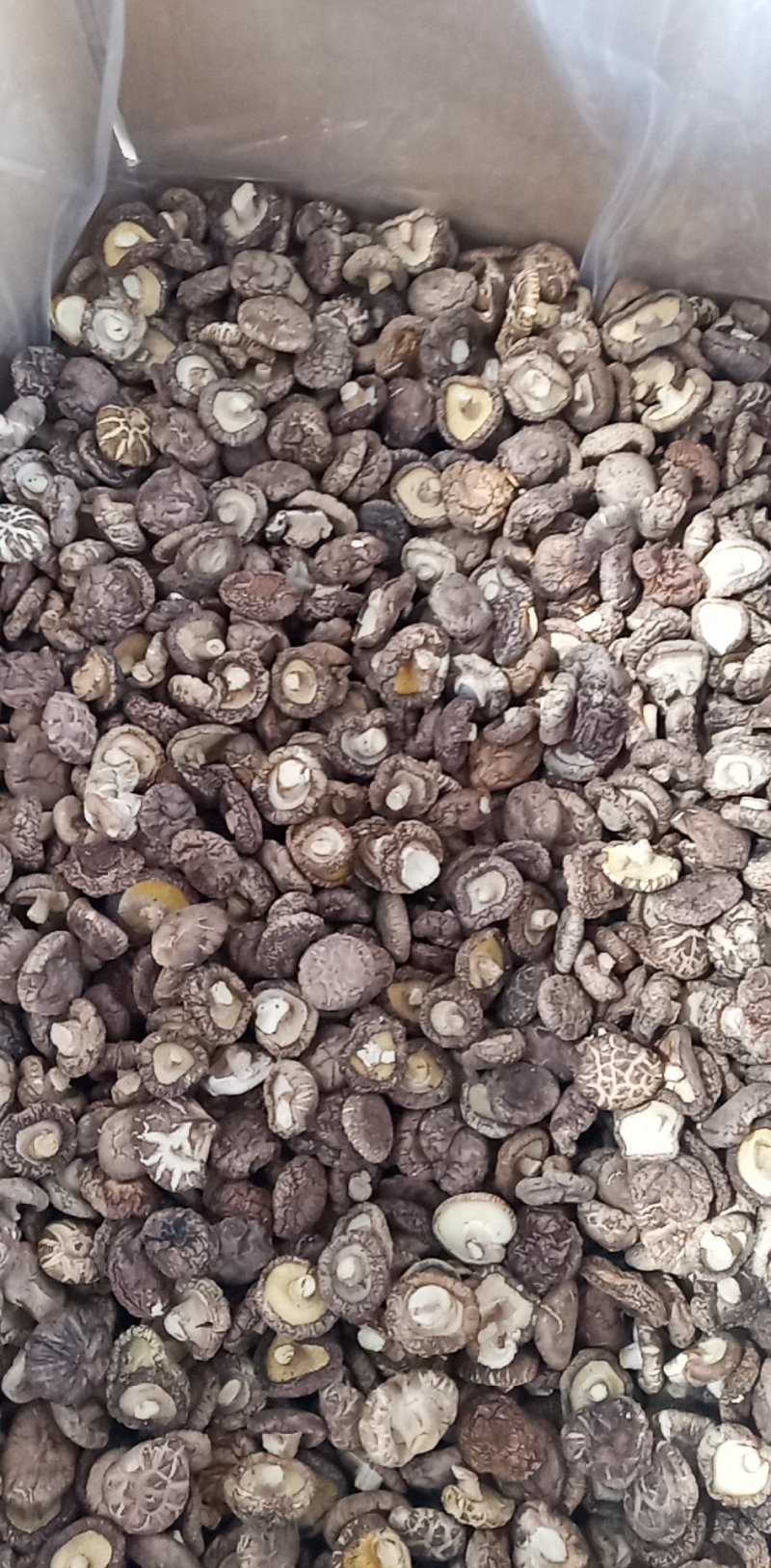 （产区直销）货源充足，质量好价格实惠
