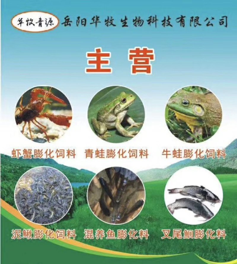 塘角鱼苗埃及塘鲺量大送货上门货到付款