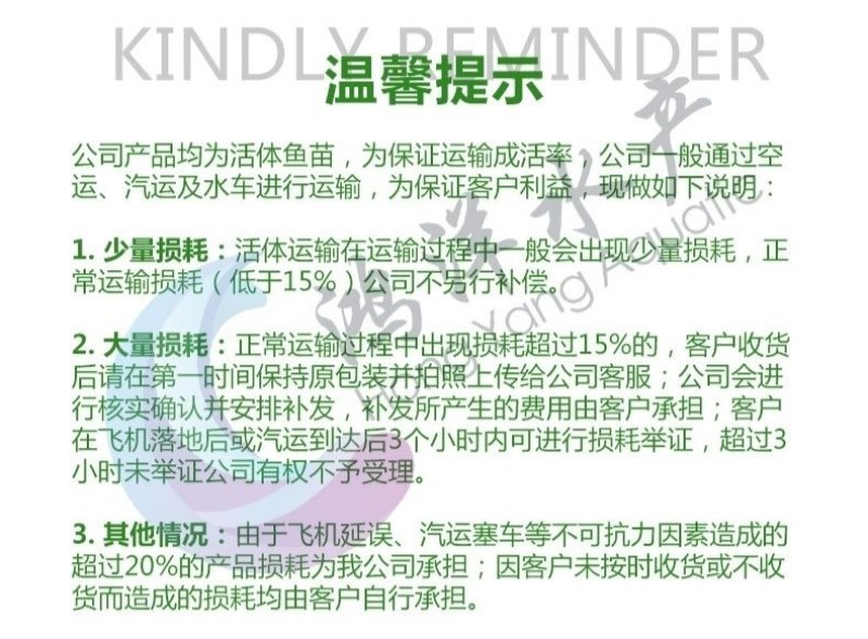 泥鳅苗台湾泥鳅苗免费送货技术支持成品回收