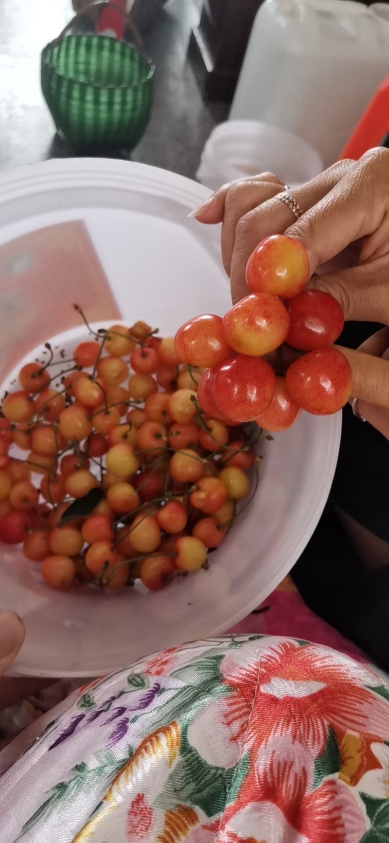 黄蜜樱桃
