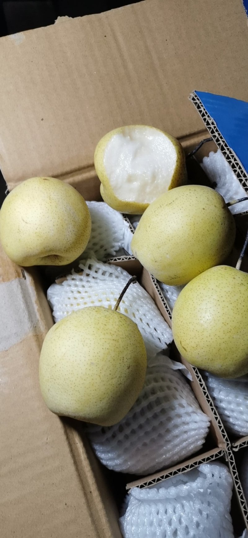 皇冠梨价格趋势，一级皇冠梨价格大降价，低价处理销售