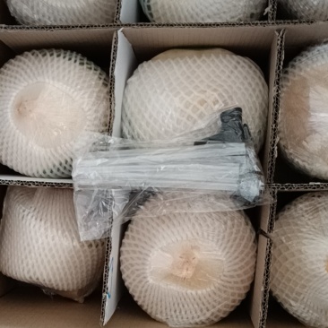 文昌东郊椰子好喝又美味