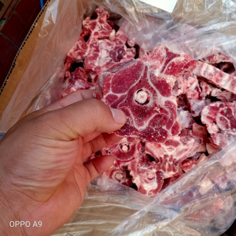 羊蝎子