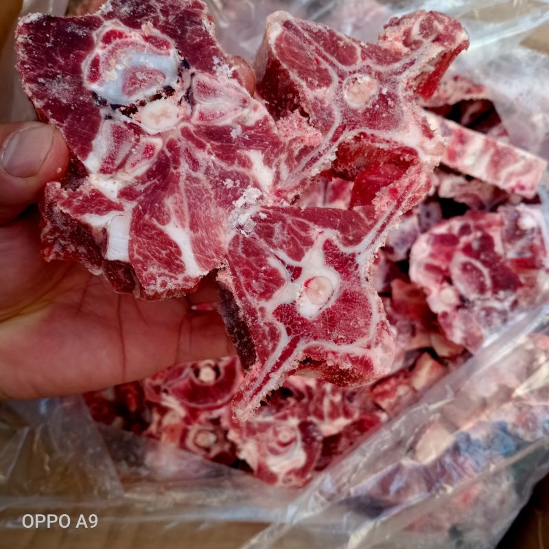 羊蝎子