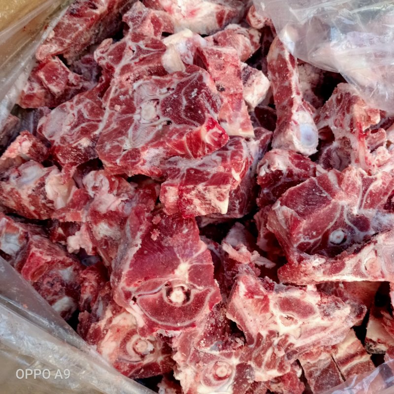 羊蝎子