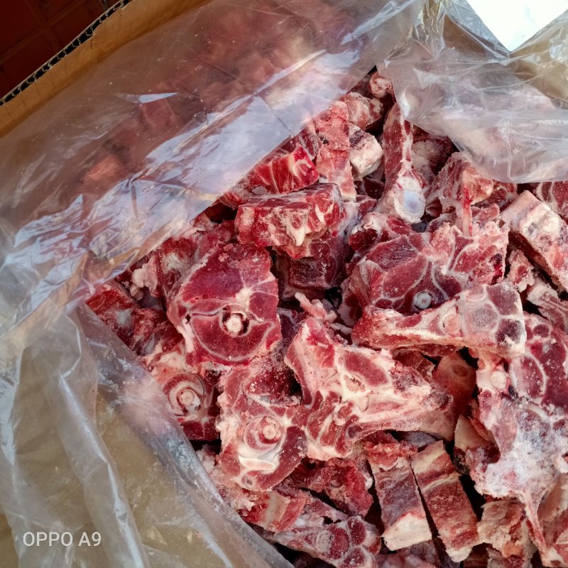 羊蝎子