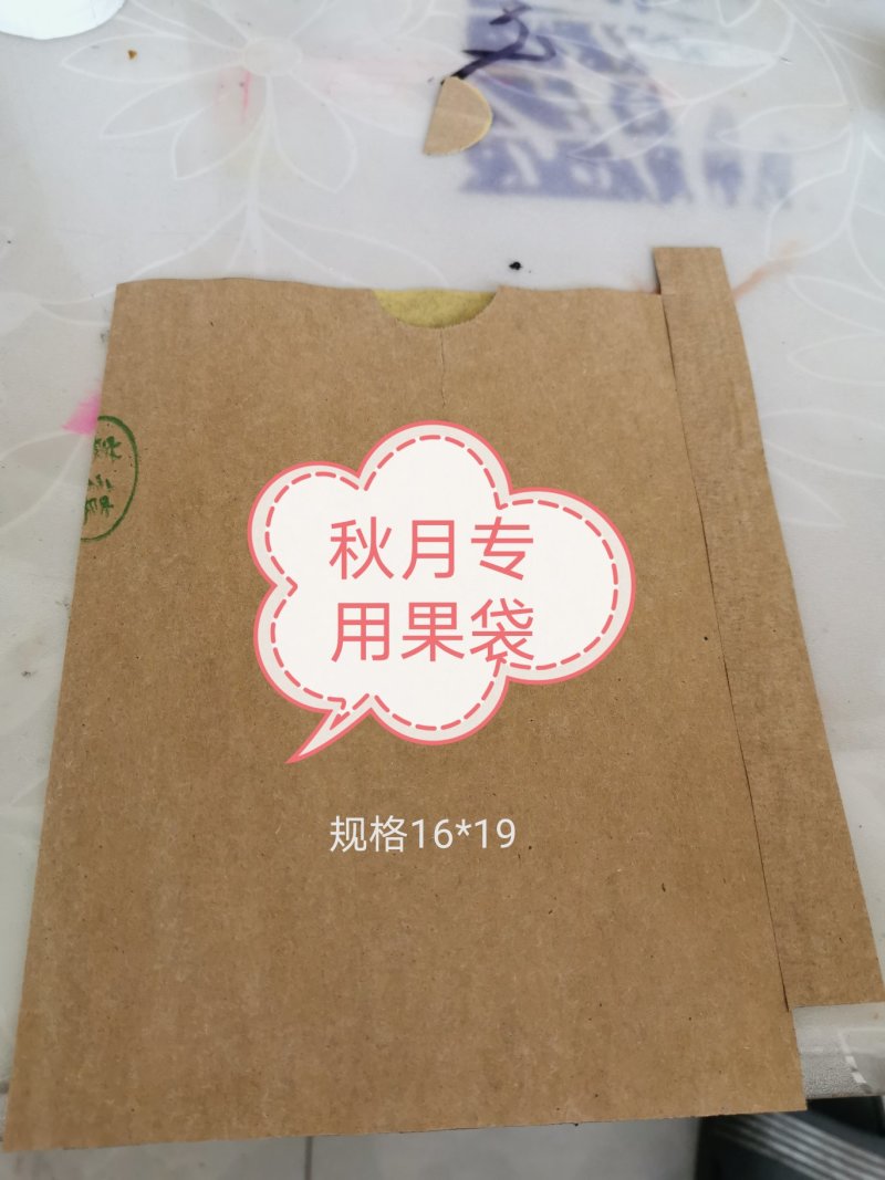 秋月梨专用果袋防虫防菌16*19