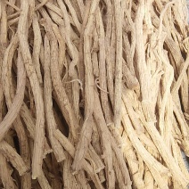 防风
