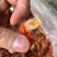 无冰衣鲜冻小龙虾尾麻辣小海鲜食材