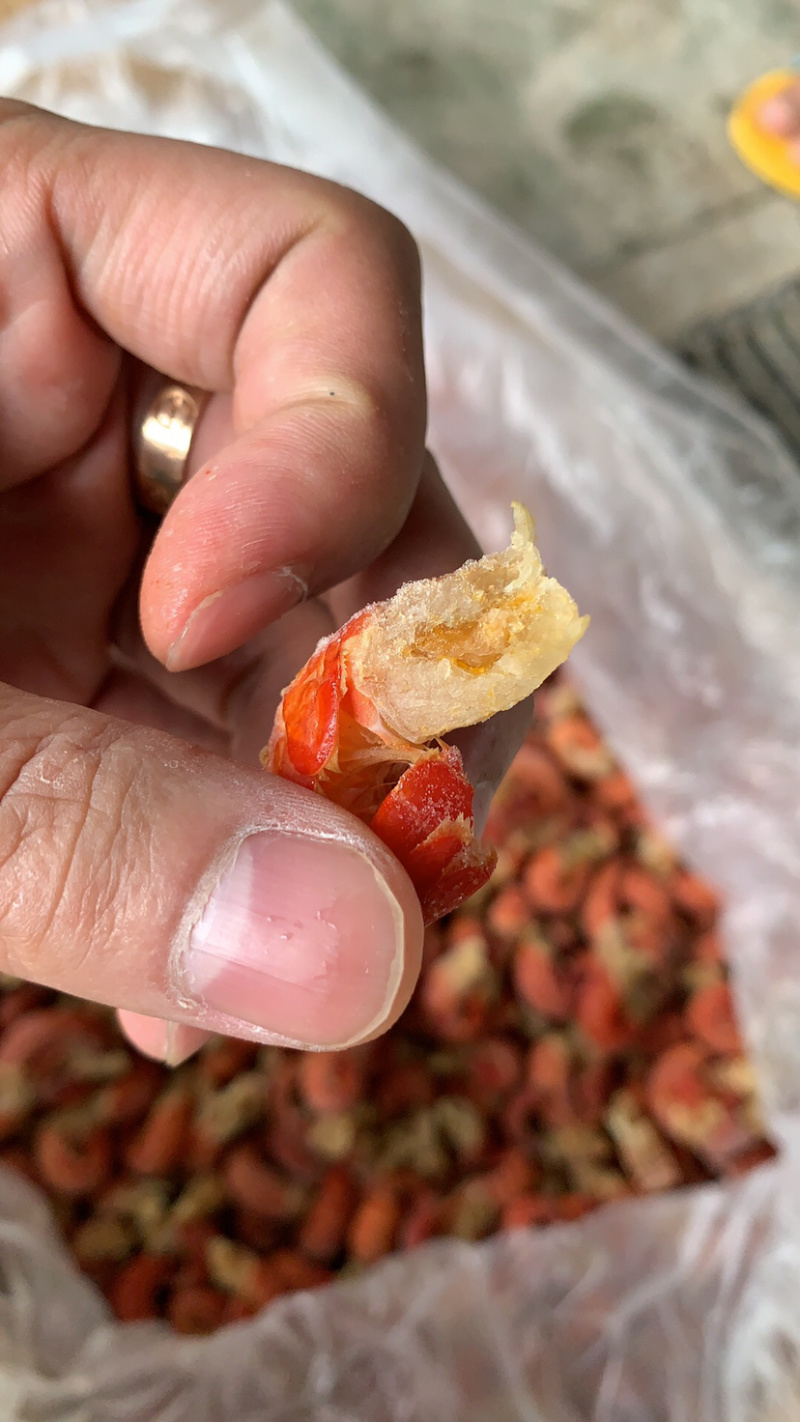 无冰衣鲜冻小龙虾尾麻辣小海鲜食材