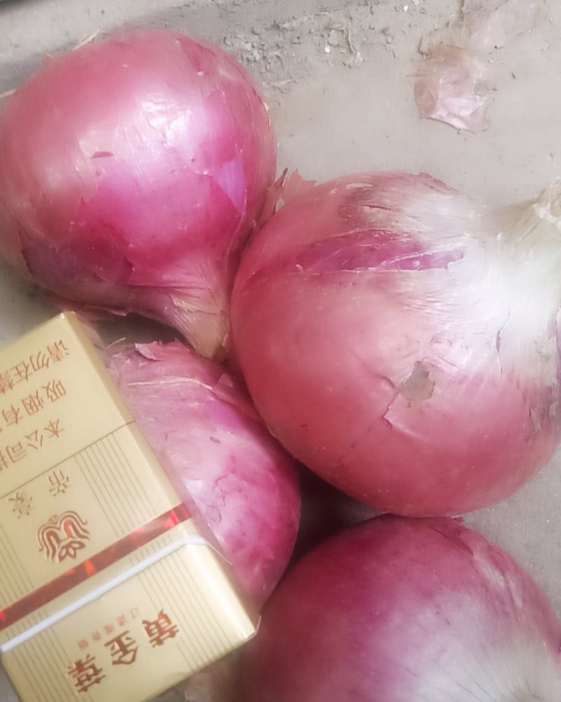 九零以上，红皮高桩。量大面议。
