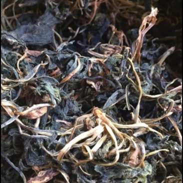 苦斋菜高山有机野菜，去火煲汤专用。