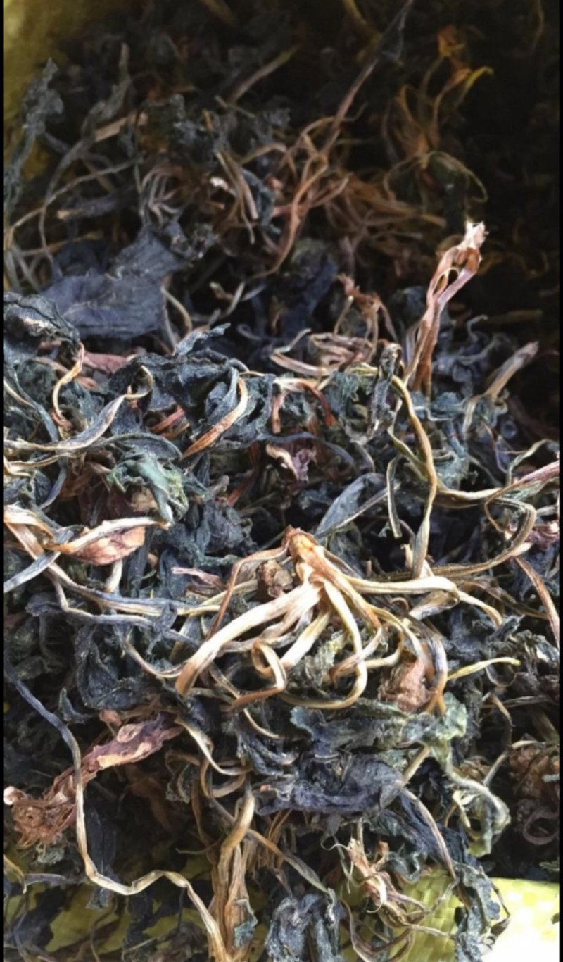 苦斋菜高山有机野菜，去火煲汤专用。