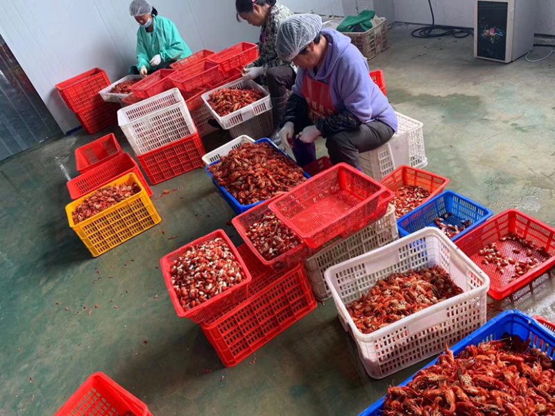 无冰衣鲜冻小龙虾尾麻辣小海鲜食材