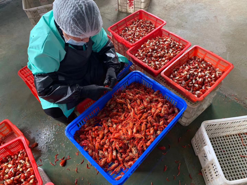 无冰衣鲜冻小龙虾尾麻辣小海鲜食材