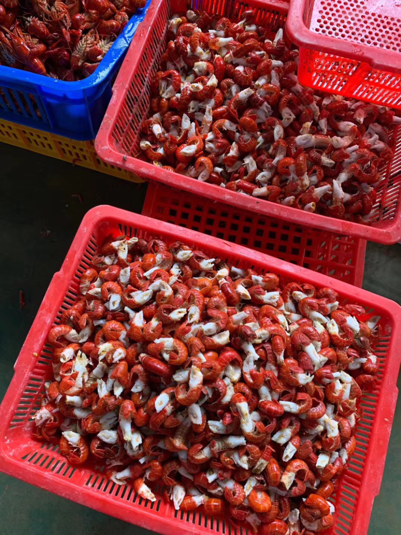 无冰衣鲜冻小龙虾尾麻辣小海鲜食材