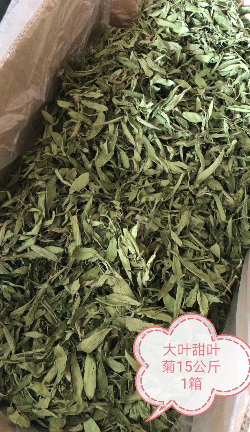 甜叶菊，全叶甜菊叶，小叶、大叶甜叶菊，含糖量高